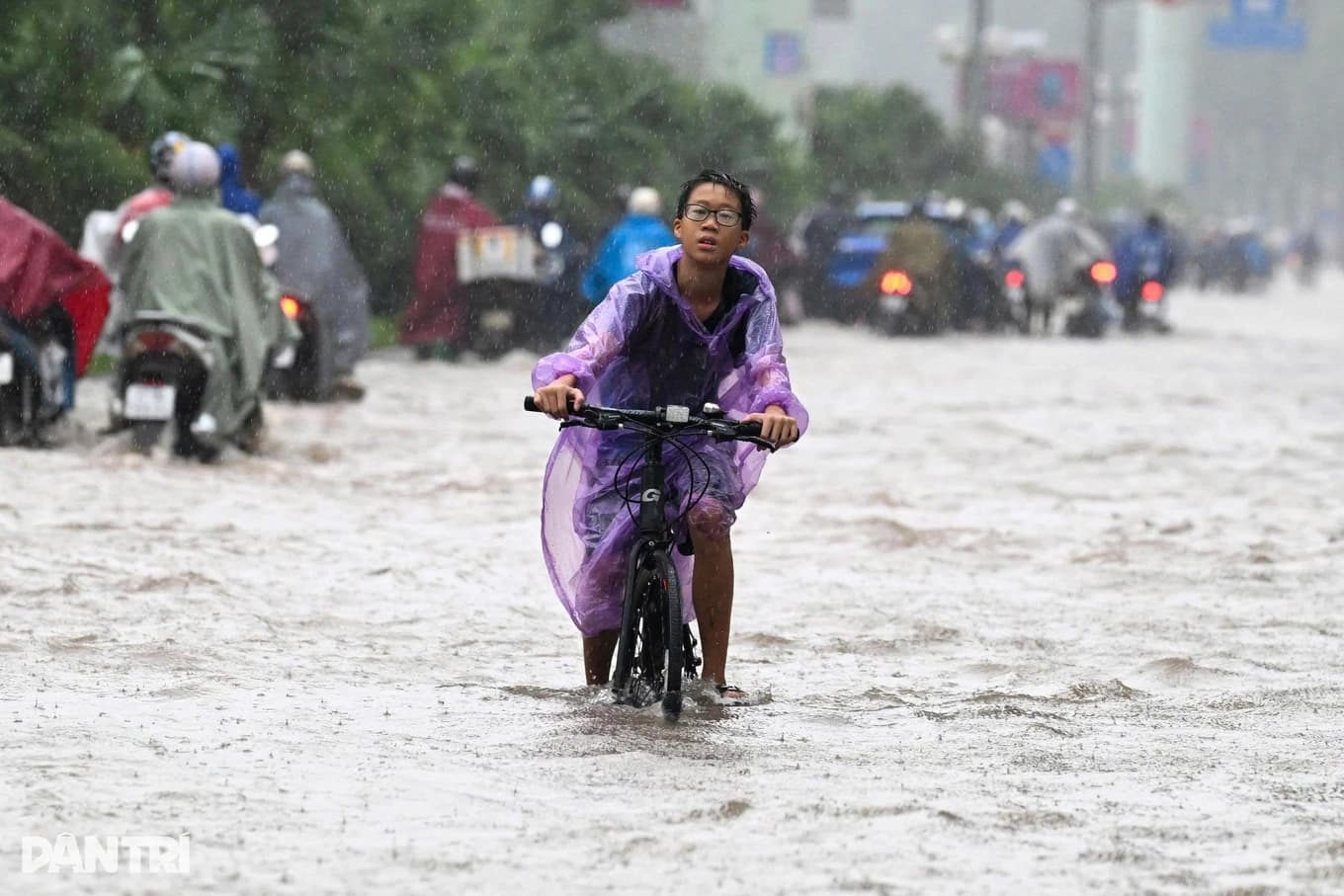 Trường Tiểu học Nguyễn Quý Đức tạm nghỉ do ngập sông Hà Nội