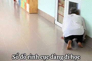 Cảnh ông nội lặng lẽ chờ con trong lớp học lan truyền rộng rãi