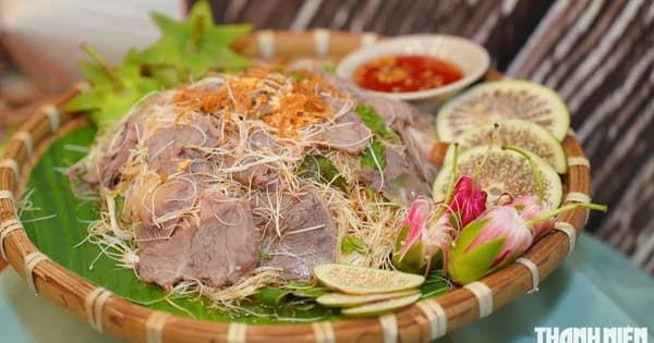 Doanh nghiệp 'để mắt' đến dự án du lịch từ cây bần, tranh kiếng của sinh viên