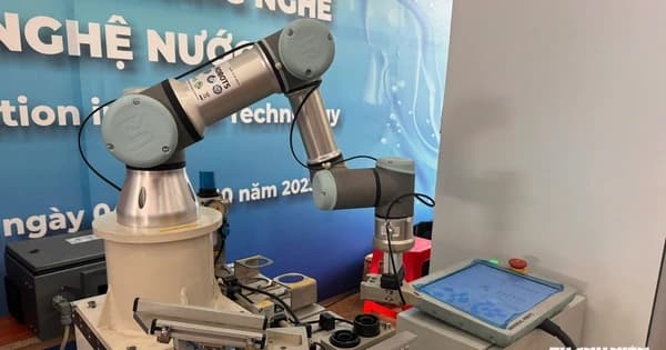 AI thay đổi thị trường lao động: Ba nhóm nghề truyền thống vẫn giữ vững vị thế